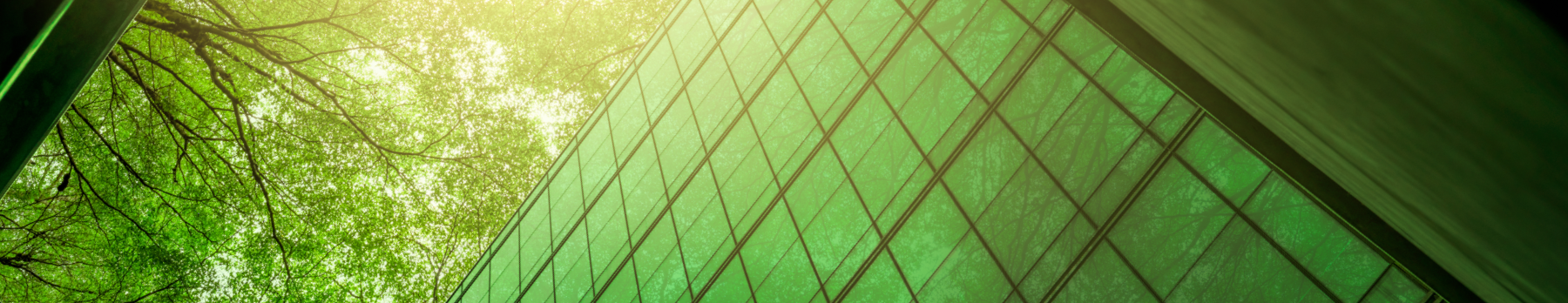 Large windows with a view of lush greenery and nature outside.